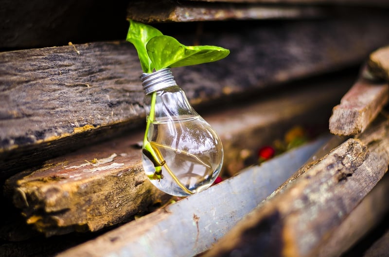 Upcycling Eco Sustainability