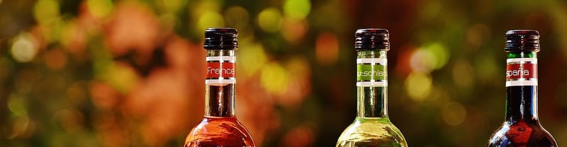 Wine Bottle Vases